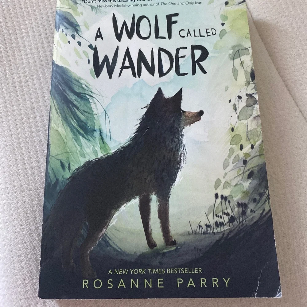Book - Picture 1 of 4